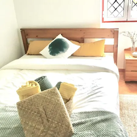 Guest house Catus Homie Baleal