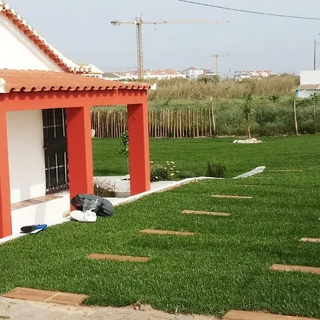 Catus Homie Baleal