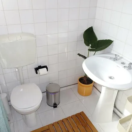 Catus Homie Guest house *