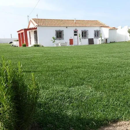 Catus Homie Guest house *