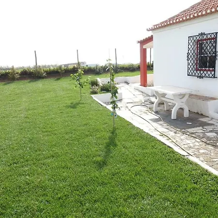 Catus Homie Baleal